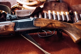 gun and amunition